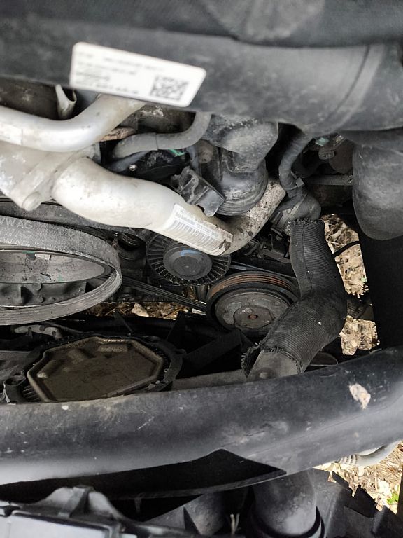 Фото Audi Q8 234